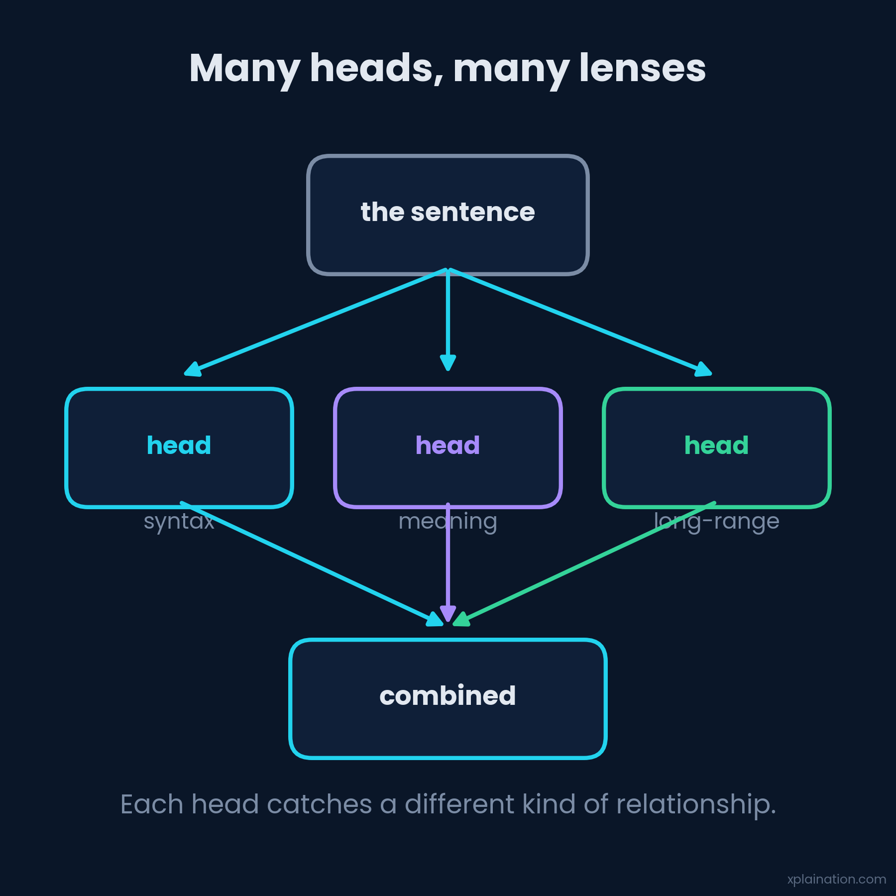 Each attention head learns a different kind of relationship